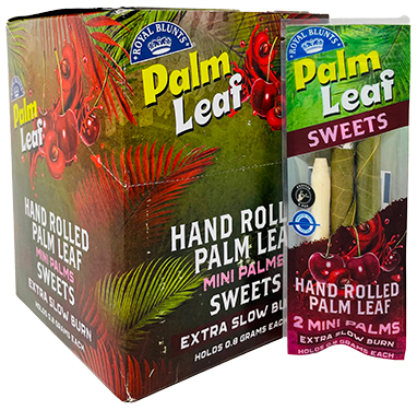 Palm Leaf Mini Sweets Cones 24 Packs of 2