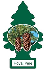 Little Trees Royal Pine Freshener 1ct