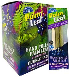 Palm Leaf Slim Purple Haze Cones 24 Packs of 2