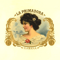 La Primadora Solitaire Maduro